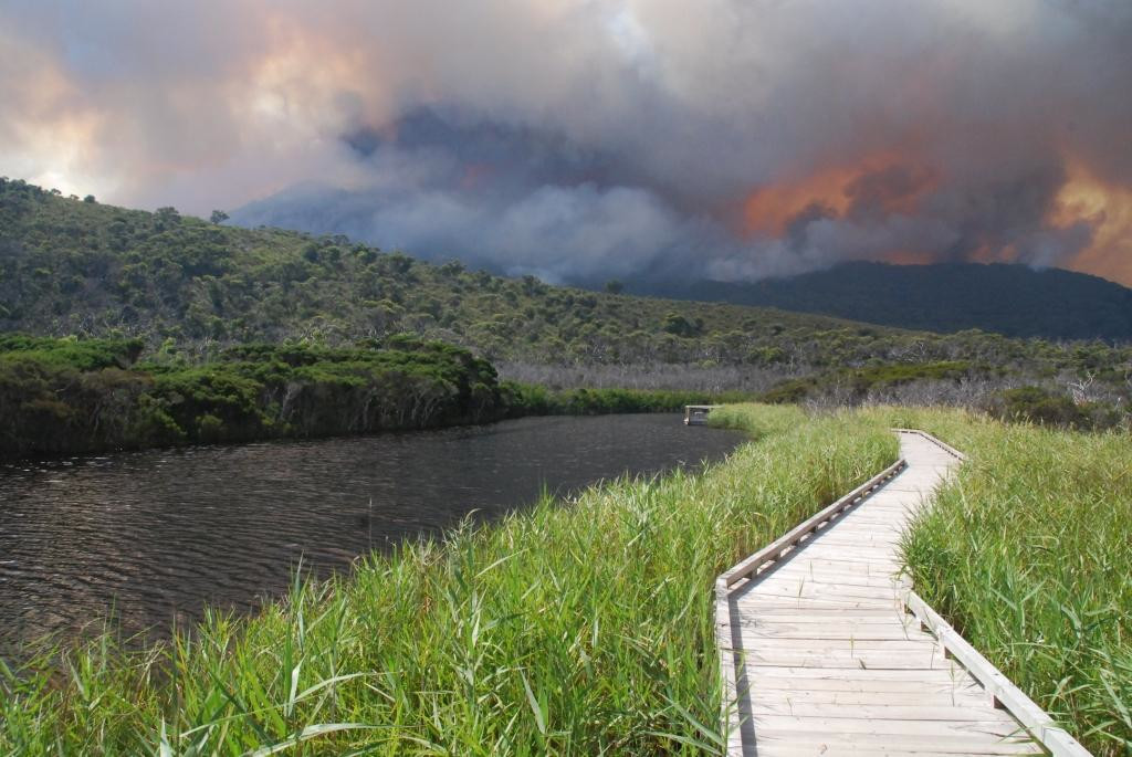 Tidal River fire