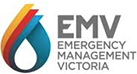 emv logo