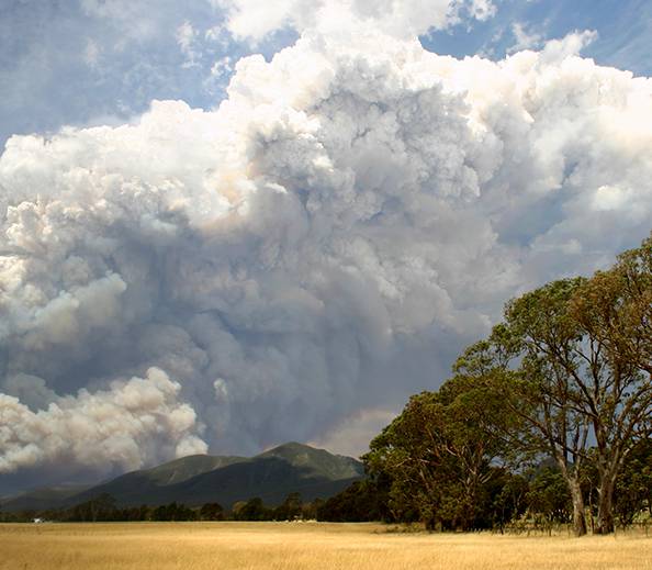 Smoke from bushfire