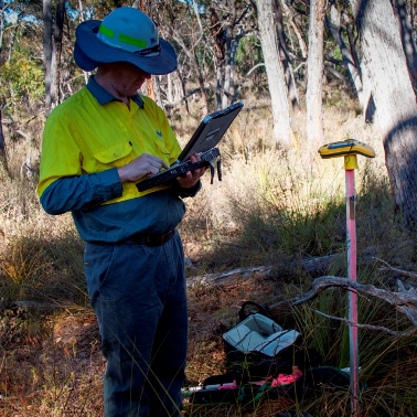 Researcher taking measurements in a forest
