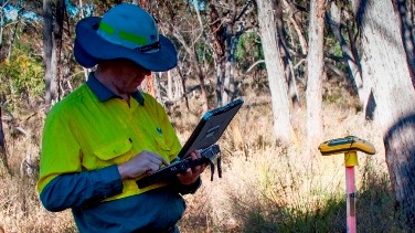 Researcher taking measurements in a forest