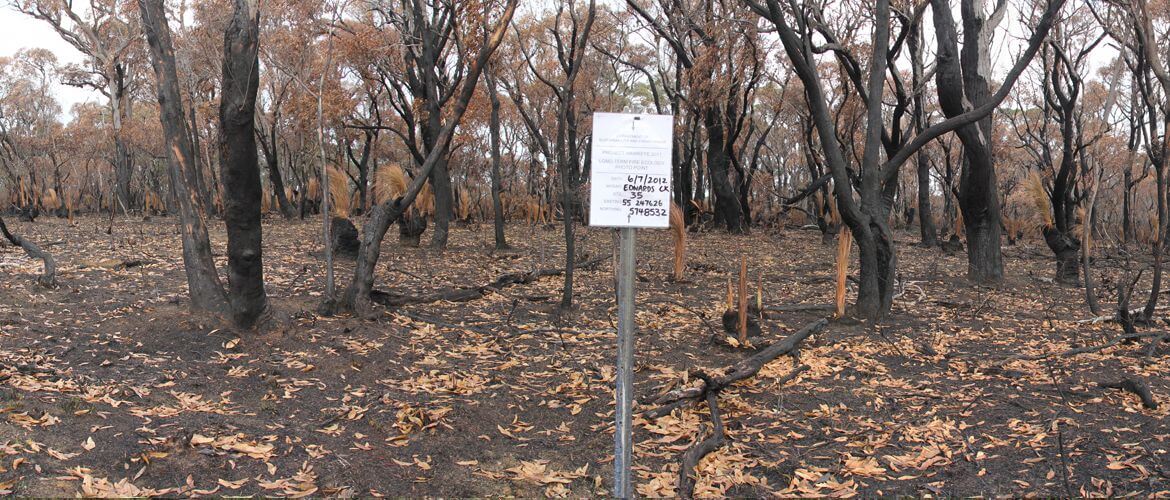 Vegetation recovery postburn