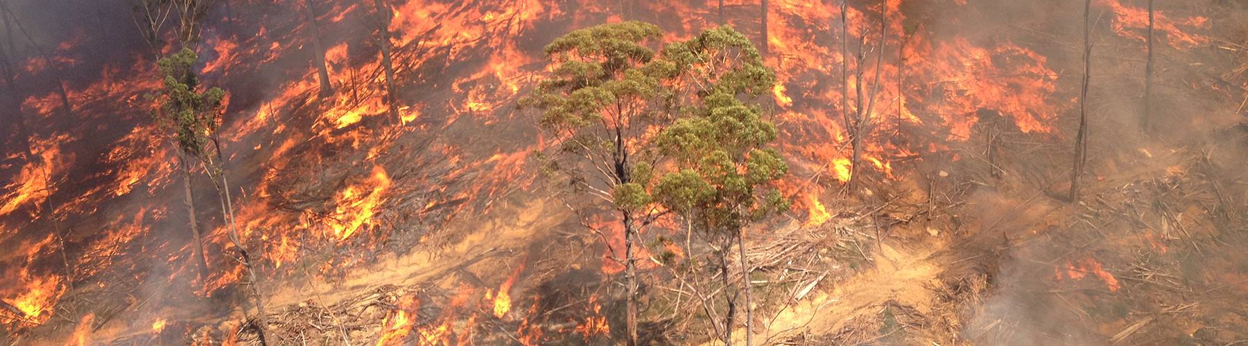 Fire spreading